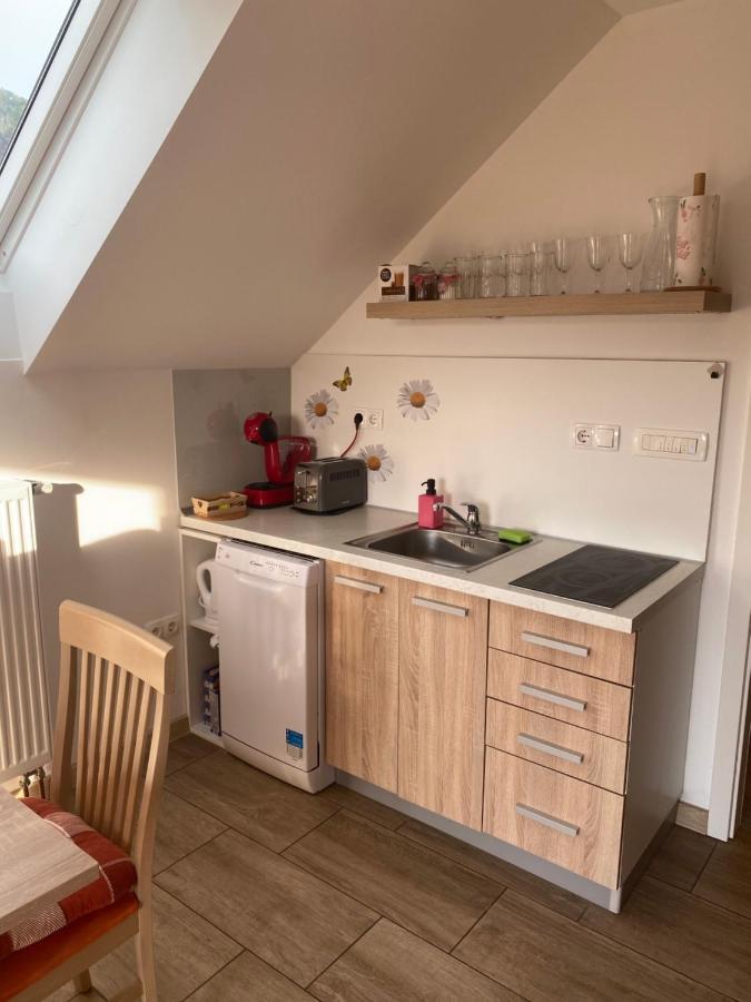 Apartment Marjetka Zirovnica 外观 照片